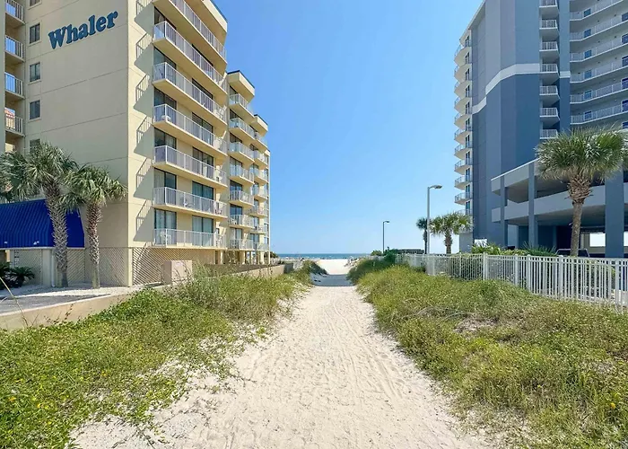 The And Surf Duplex A Side *